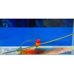 Wafters Haldorado Tornado 12mm, Turtă Dulce 30g