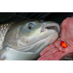 Pop Up Haldorado Tornado XL 15mm Mango 30g