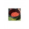 SBS Bomb Pellet Mix M1 5 Kg