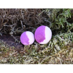 Pop Up Haldorado N-Butyric Method Acid N-Butyric Natural 9-11 mm 30g