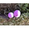 Pop up Haldorado N-Butyric Big Carp Acid N-Butyric Natural 13-17 mm 30g