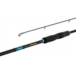 Delphin Zandera / 2 tronsoane 210cm/3-21g