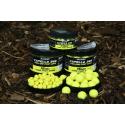 Pop up HiCarp Capella 365 Yellow