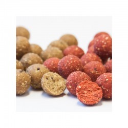 Boilies Solubil Sbs Eurobase Squid Octopus & Mulberry 20mm 1kg