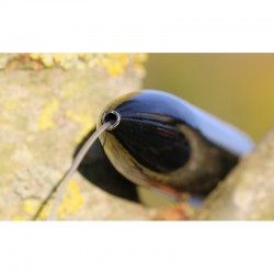 Pluta Zeck U-Float Solid Black 30gr