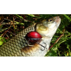 Salmo Vobler Lil Bug 3cm Diferite