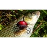 Salmo Vobler Lil Bug 3cm Diferite