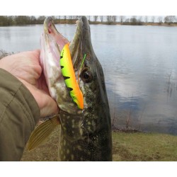 Oscilanta Rapala Rattlin' Minnow Spoon FT