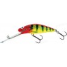 Salmo Bullhead BD4SDR CYP