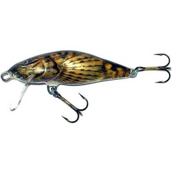 Bullhead BD4SDR