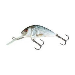 Salmo Hornet sinking Real dace