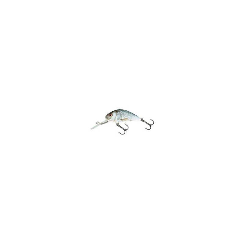 Salmo Hornet sinking Real dace
