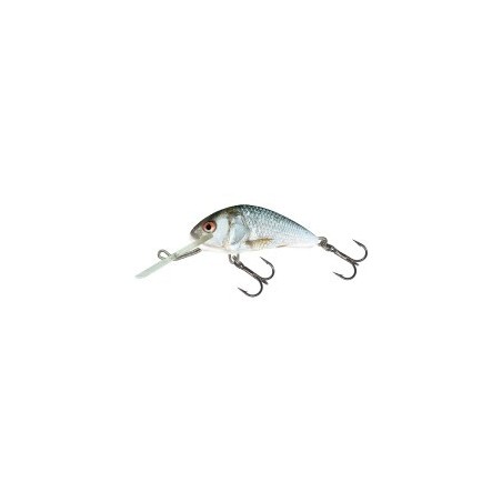 Salmo Hornet sinking Real dace