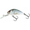 Salmo Hornet sinking Real dace