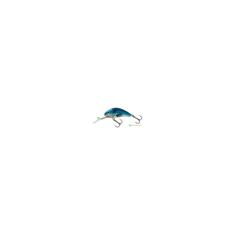 SalmoHornet floating Holographic blue sky