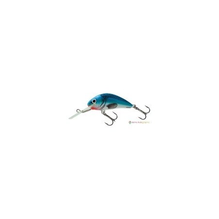 SalmoHornet floating Holographic blue sky