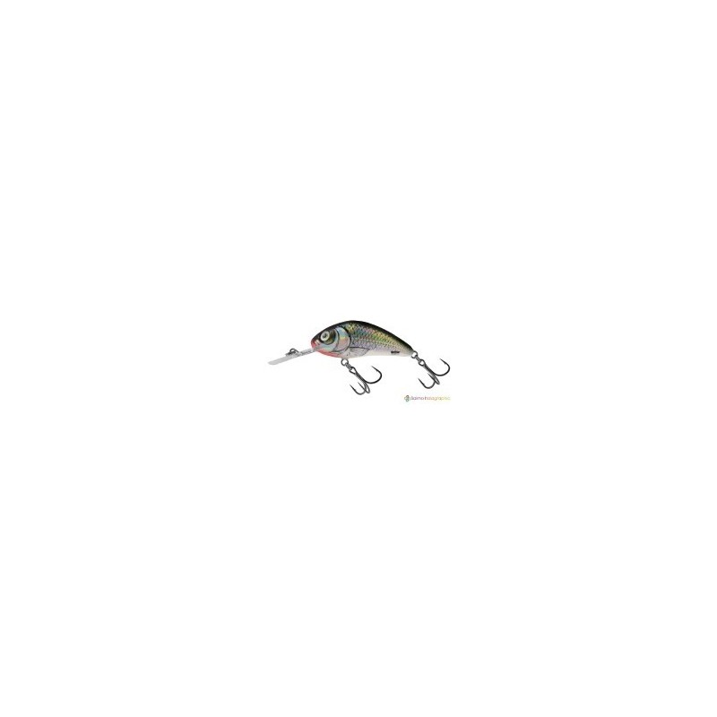 Salmo Rattlin Hornet Holo bleak