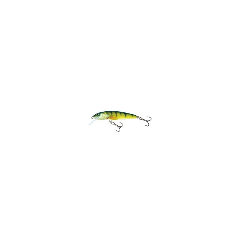 Salmo Minnow perch floating