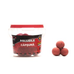 Senzor  Planet Solubile Pentru Carlig Capsuna 16-18mm 100g